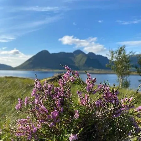 Oceanfront Semesterbostad *