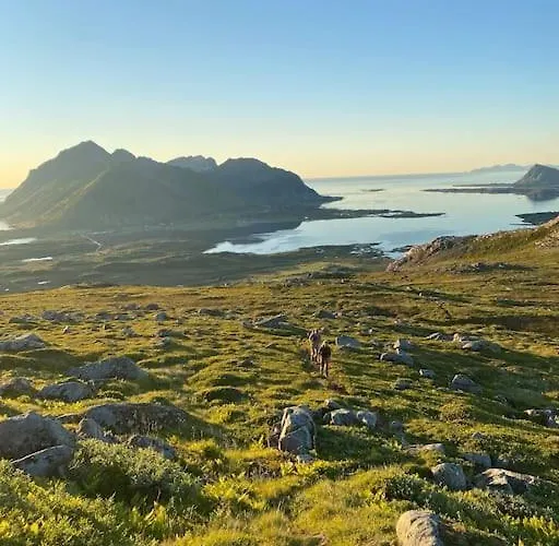 Oceanfront Lyngedal